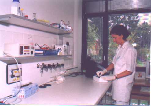genet_lab2.jpg