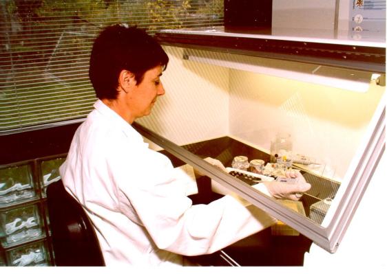 genet_lab3.jpg