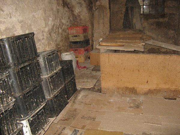 IMG_4263.JPG