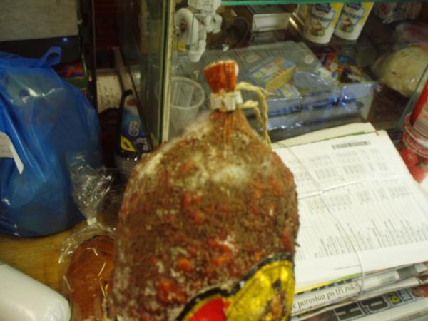 foto2.jpg