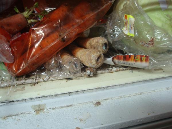 foto6.jpg