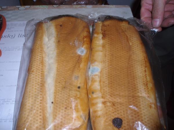 foto8.jpg