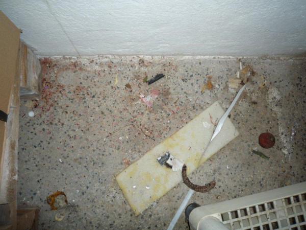 Kubik_Pardubice_04.JPG