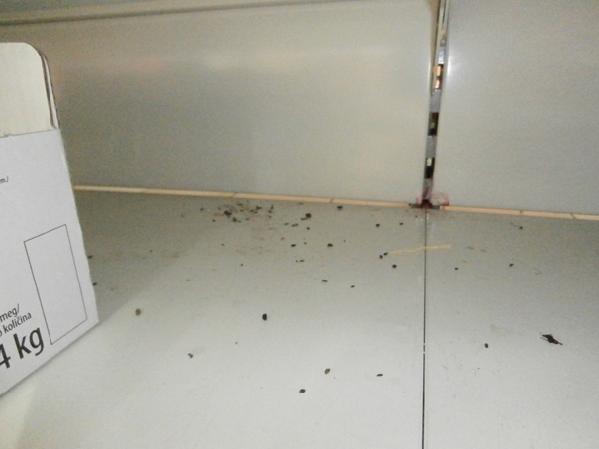 Pasti na myši a myší trus pod a v regálu (slané pečivo)_2.jpg