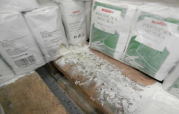 Stopy požeru a myší trus v regále s moukou_1.jpg
