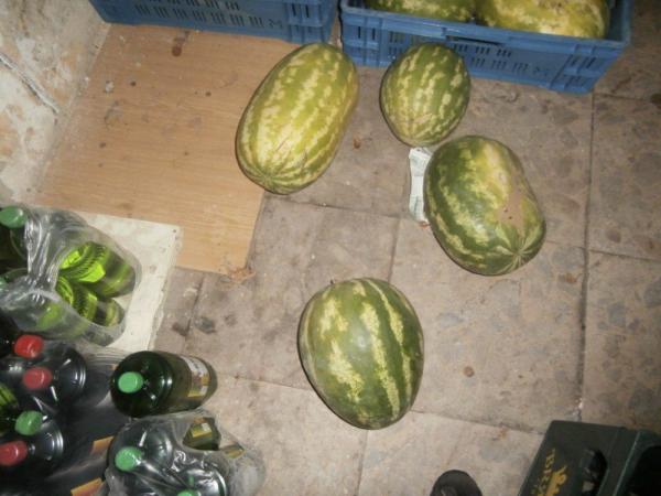 Velvary_09.JPG