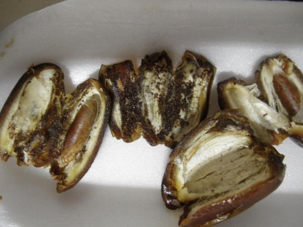 Dates_Billa_02.JPG
