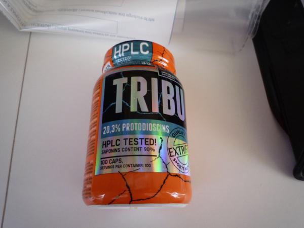 TRIBU_1.JPG