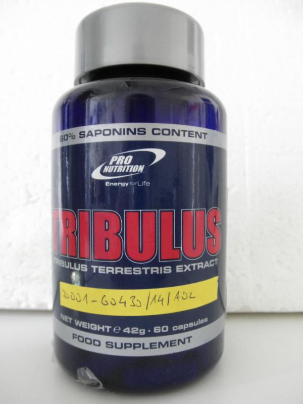 Tribulus_01.JPG