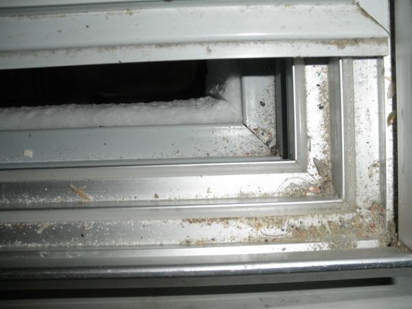 PA240049.JPG