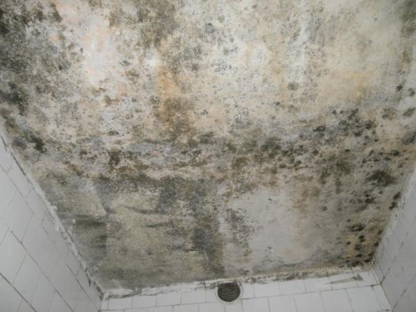 P110-80759-14-12.jpg
