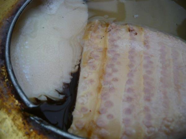 P1750220.jpg