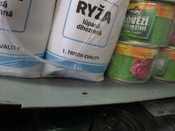 HRUŠKA spol. s r.o. - Třebechovice pod Orebem 2.JPG