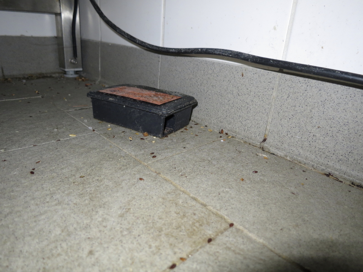 10 Tesco_As_010.JPG