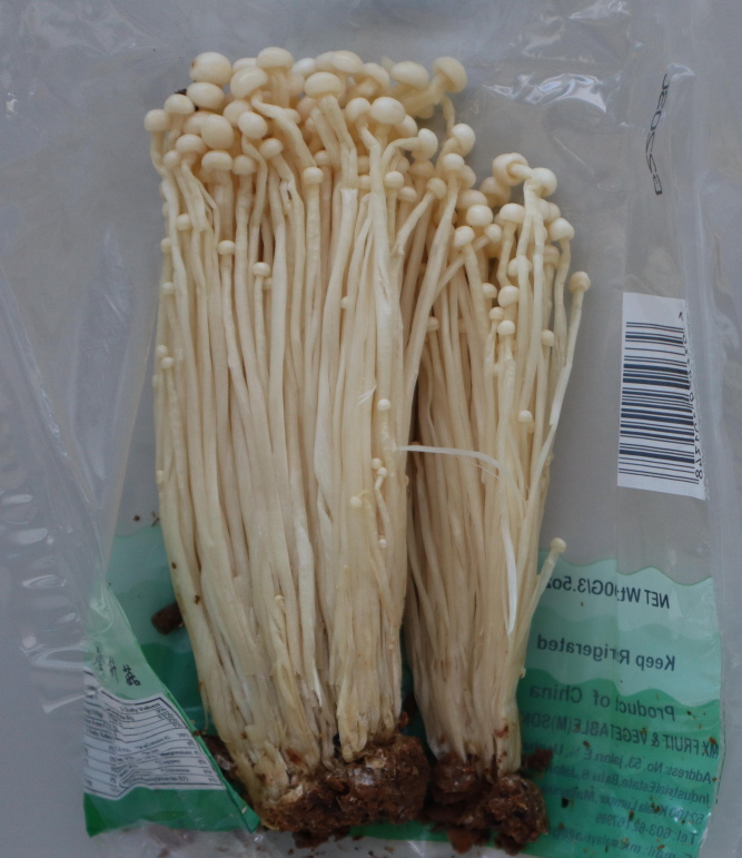 Enoki_2