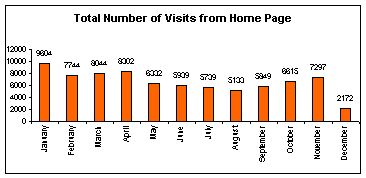 Website Visit Statistics in 2003_total2