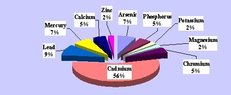 Graph 3.4.1 Percentage of the individual agents of the total number of nonconforming analyses in the group of “chemical agents” 