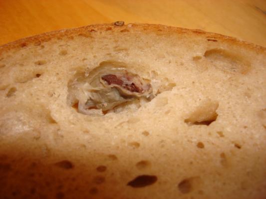 mouse_bread1.jpg