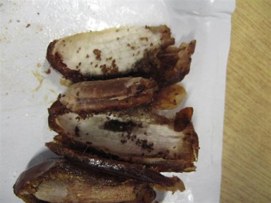 dried_dates3.jpg