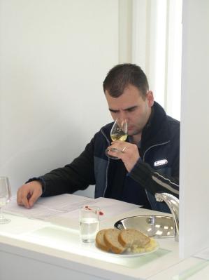 vino3.jpg