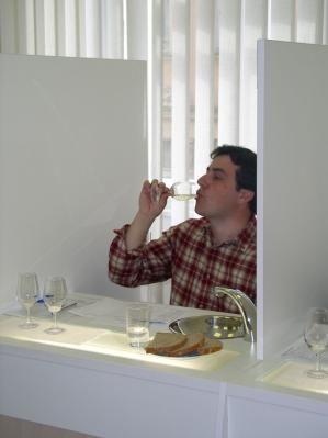 vino5.jpg