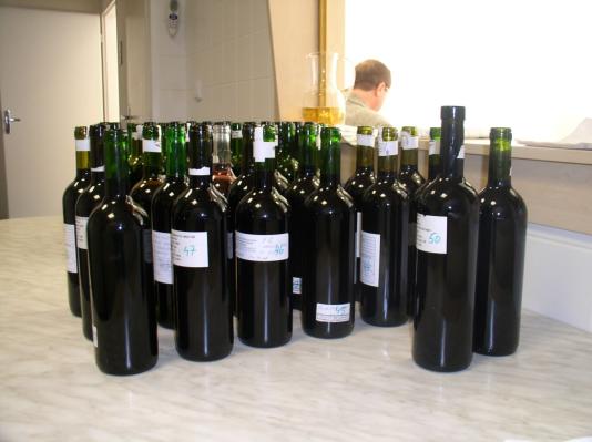 vino6.jpg
