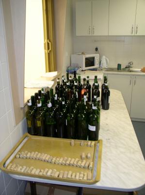 vino7.jpg