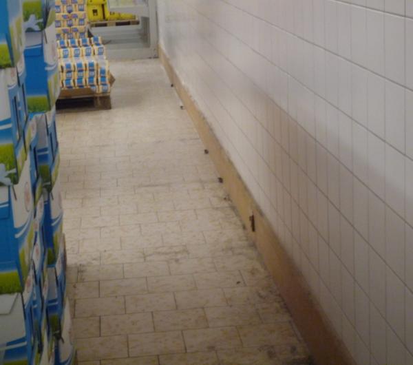 LIDL_3.jpg