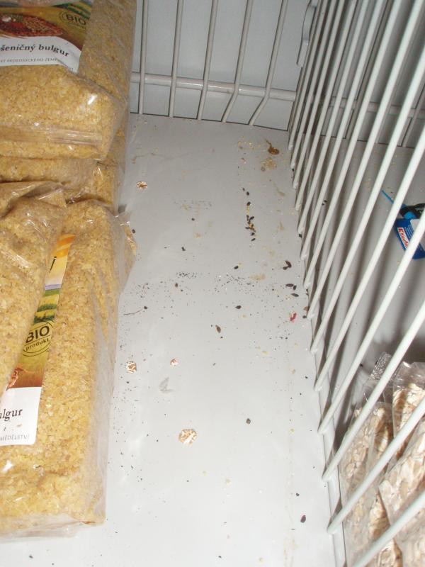 Kaufland_1.JPG