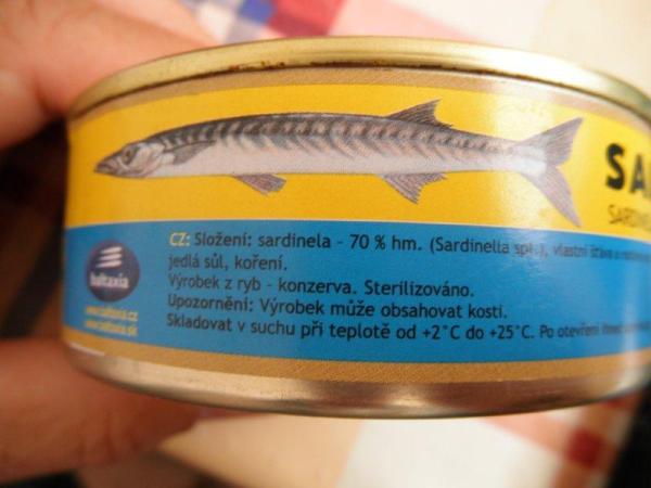 foto_sardinela3.jpg