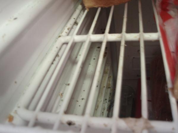 foto7.jpg