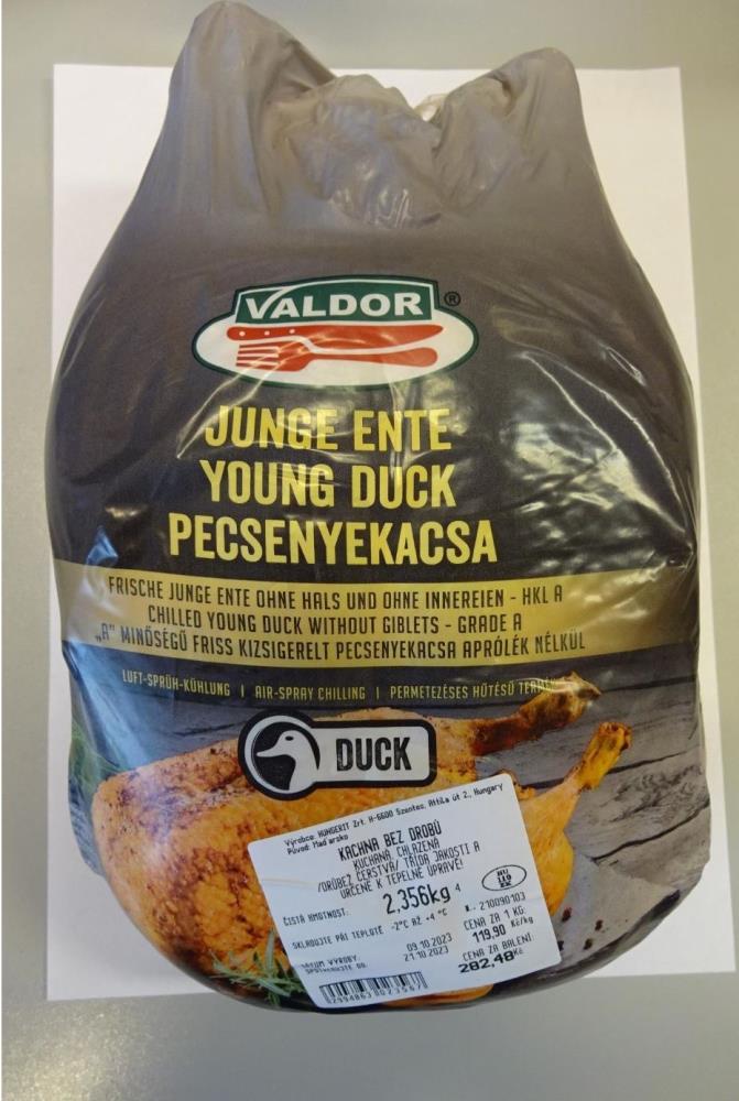 goose_2